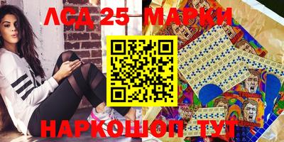 стаф Донецк