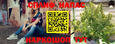 стаф Донецк