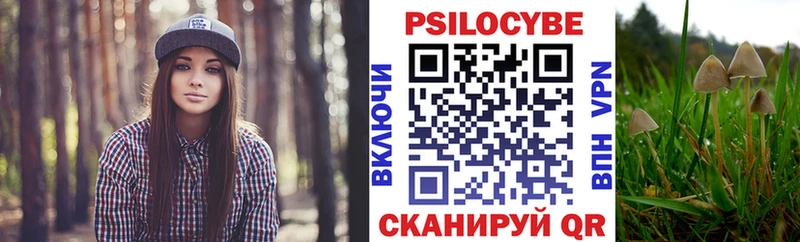 Псилоцибиновые грибы MAGIC MUSHROOMS  Кстово 