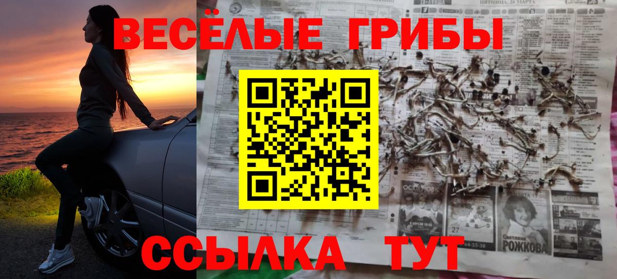Псилоцибиновые грибы Magic Shrooms  Вход с VPN  Кстово 