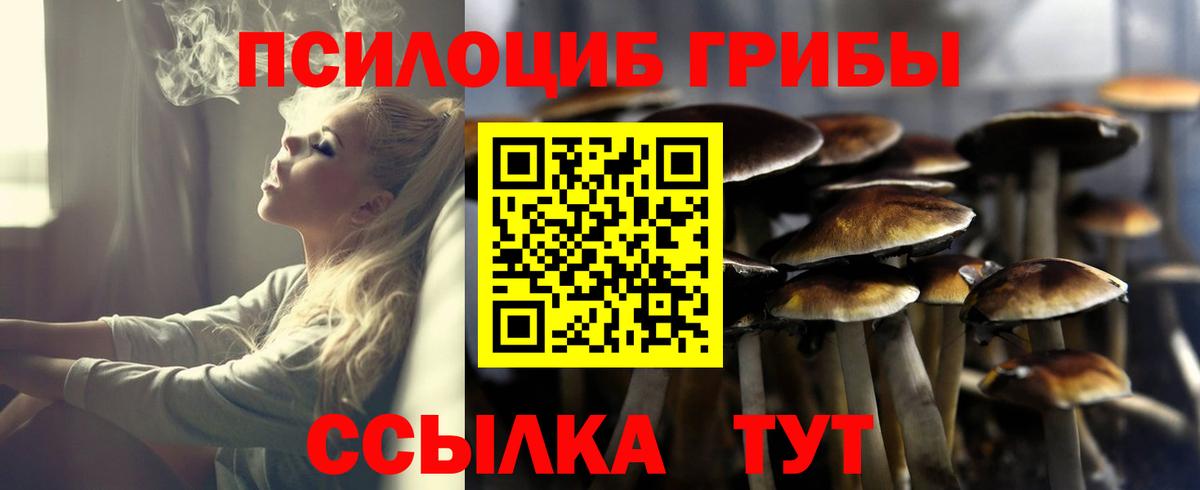Псилоцибиновые грибы Cubensis Кстово
